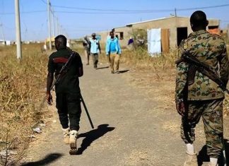 استعادة الجيش السوداني وزراعة 754 ألف فدان حدودي استعادة الجيش السوداني وزراعة 754 ألف فدان حدودي