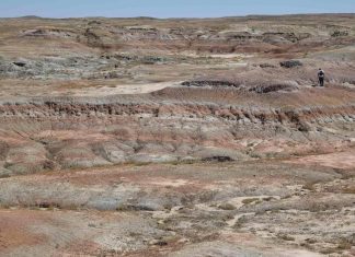 “الديسّاكوس” وكيف واجه الحياة احترار الكوكب قبل 56 مليون سنة "الديسّاكوس" وكيف واجه الحياة احترار الكوكب قبل 56 مليون سنة