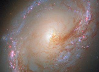 مرصد هابل يكشف عن ولادة نجوم في مجرة ممزّقة بالجاذبية مرصد هابل يكشف عن ولادة نجوم في مجرة ممزّقة بالجاذبية