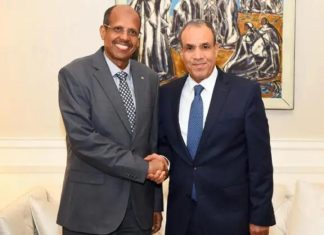 الاتحاد الإفريقي ومصر يعقدان مباحثات بشأن السودان الاتحاد الإفريقي ومصر يعقدان مباحثات بشأن السودان