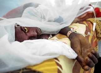 شركة زادنا: تجار يخزنون محاليل حمى الضنك لرفع الأسعار شركة زادنا: تجار يخزنون محاليل حمى الضنك لرفع الأسعار