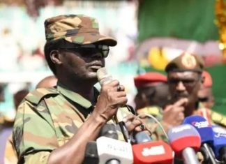 مناوي: ملحمة بطولية في كردفان وصمود السودان مناوي: ملحمة بطولية في كردفان وصمود السودان