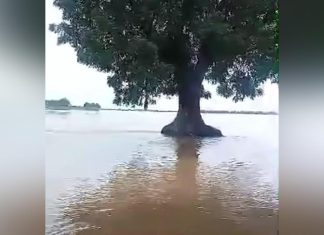 ارتفاع منسوب النيل في السودان: تفاصيل جديدة من الزراعة ارتفاع منسوب النيل في السودان: تفاصيل جديدة من الزراعة