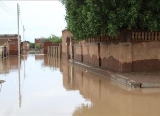 فيضانات النيل بالسودان: تحذيرات ومزارع غارقة فيضانات النيل بالسودان: تحذيرات ومزارع غارقة