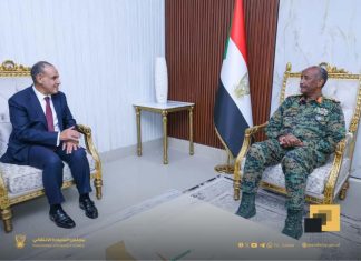 لقاءات البرهان والسيسي حول بيان الرباعية والهدنة لقاءات البرهان والسيسي حول بيان الرباعية والهدنة