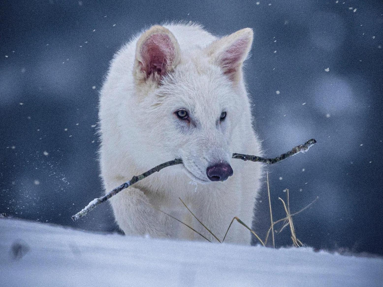 اليونان تؤكد اكتشاف أول اليونان تؤكد اكتشاف أول