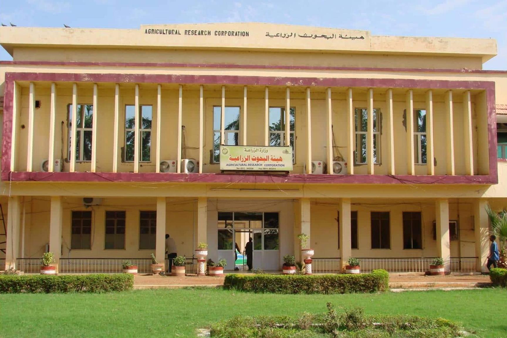 خسائر الزراعة في السودان جراء الحرب 100 مليار دولار