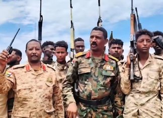 “درع السودان” تمنع تسللًا إلى مدينة شمال كردفان "درع السودان" تمنع تسللًا إلى مدينة شمال كردفان