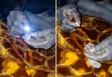 جدل حول فيديو توليد الكهرباء باليورانيوم في السودان جدل حول فيديو توليد الكهرباء باليورانيوم في السودان