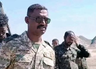 تفاصيل محاولة اغتيال قائد قوات درع السودان تفاصيل محاولة اغتيال قائد قوات درع السودان