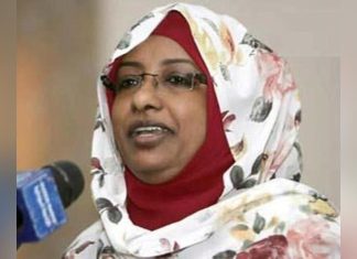 سناء حمد: 22 أسرة تتحكم بأموال البنوك بالسودان سناء حمد: 22 أسرة تتحكم بأموال البنوك بالسودان