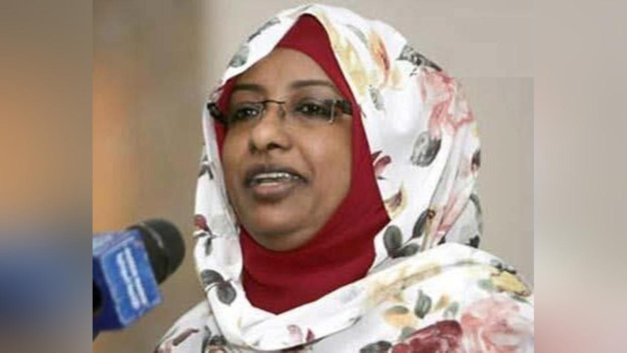 سناء حمد: 22 أسرة تتحكم بأموال البنوك بالسودان