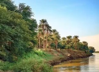 وفاة شاعرة سودانية بطلق ناري طائش وفاة شاعرة سودانية بطلق ناري طائش