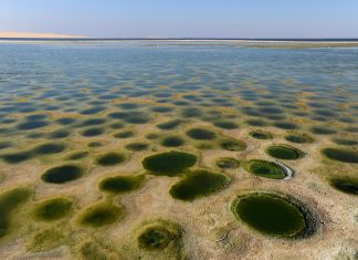 ما السر وراء تحول بحيرة قارون المصرية من عذبة إلى مالحة؟ ما السر وراء تحول بحيرة قارون المصرية من عذبة إلى مالحة؟