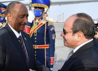 ضغوط إماراتية على مصر للتخلي عن دعم الجيش السوداني ضغوط إماراتية على مصر للتخلي عن دعم الجيش السوداني