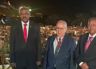 تحركات دبلوماسية سودانية لإنهاء الحرب الإنسانية تحركات دبلوماسية سودانية لإنهاء الحرب الإنسانية