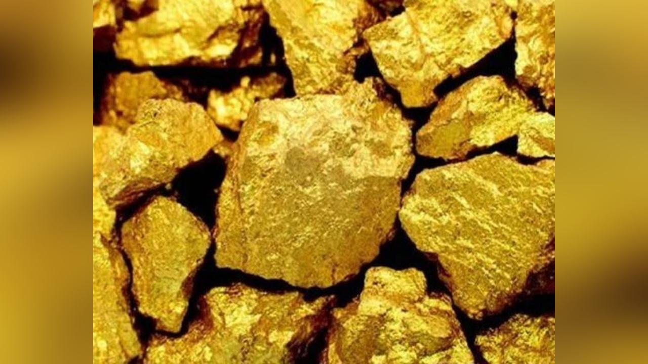 مشروعات حدودية لتعزيز التجارة بين السودان ومصر مشروعات حدودية لتعزيز التجارة بين السودان ومصر