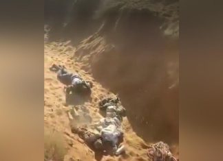 الدعم السريع تنفذ تصفيات وحشية لمواطنين عُزل الدعم السريع تنفذ تصفيات وحشية لمواطنين عُزل