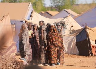 دعوة أممية لوقف إطلاق النار في الفاشر والسودان دعوة أممية لوقف إطلاق النار في الفاشر والسودان