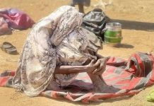 بريطانيا تحذر من تداعيات إنسانية في الفاشر بريطانيا تحذر من تداعيات إنسانية في الفاشر