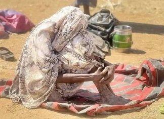 بريطانيا تحذر من تداعيات إنسانية في الفاشر بريطانيا تحذر من تداعيات إنسانية في الفاشر