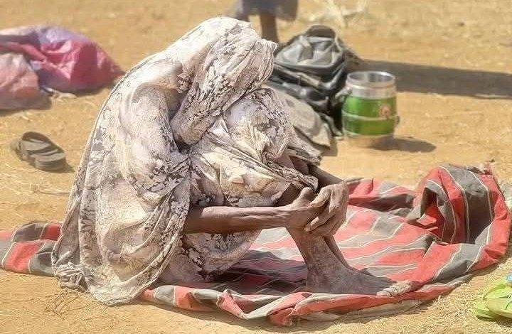 بريطانيا تحذر من تداعيات إنسانية في الفاشر بريطانيا تحذر من تداعيات إنسانية في الفاشر