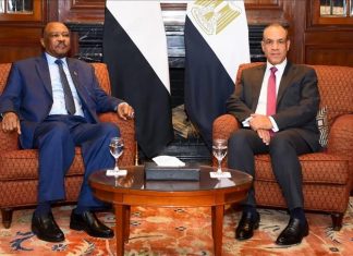 وزيرا خارجية مصر والسودان يبحثان التطورات بالفاشر وزيرا خارجية مصر والسودان يبحثان التطورات بالفاشر