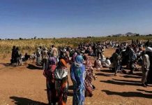 مئات الأطفال يصلون طويلة بدون ذويهم فرارا من الفاشر مئات الأطفال يصلون طويلة بدون ذويهم فرارا من الفاشر