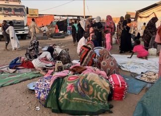 “الهجرة الدولية”: نزوح نحو 71 ألفا من الفاشر ومحيطها خلال أسبوع "الهجرة الدولية": نزوح نحو 71 ألفا من الفاشر ومحيطها خلال أسبوع