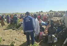 الهجرة الدولية: نزوح 1565 شخصا السبت بولايتين جنوبي السودان الهجرة الدولية: نزوح 1565 شخصا السبت بولايتين جنوبي السودان