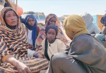 أهوال النزوح: التعذيب والاختطاف في الفاشر أهوال النزوح: التعذيب والاختطاف في الفاشر