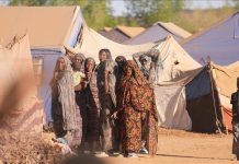 “أطباء السودان”: تزايد عدد نازحي الفاشر ينذر بتدهور الأوضاع "أطباء السودان": تزايد عدد نازحي الفاشر ينذر بتدهور الأوضاع