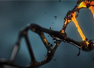 “روبرت بيكويل”.. مزارع إنجليزي غير متخصص أسس علما وراثيا "روبرت بيكويل".. مزارع إنجليزي غير متخصص أسس علما وراثيا