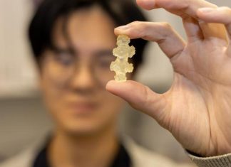 الشعاب المرجانية تلهم تصميم أدوات جراحية مرنة الشعاب المرجانية تلهم تصميم أدوات جراحية مرنة