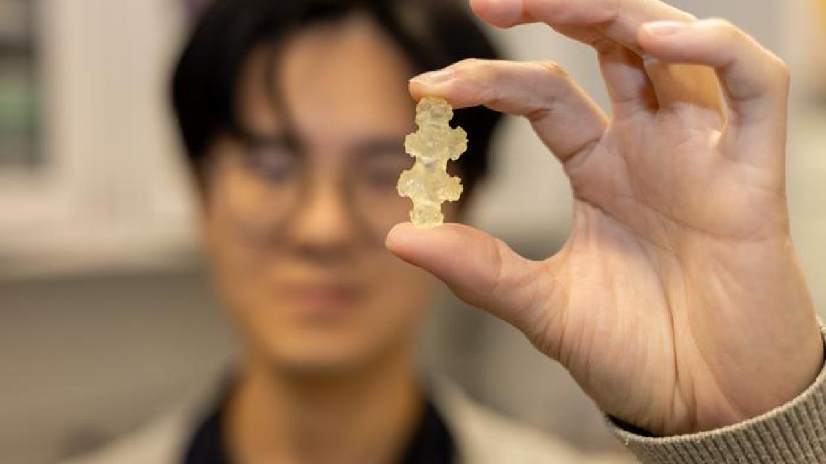 الشعاب المرجانية تلهم تصميم أدوات جراحية مرنة الشعاب المرجانية تلهم تصميم أدوات جراحية مرنة