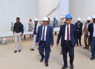 وزير الطاقة يزور المستودعات الاستراتيجية للنيل للبترول وزير الطاقة يزور المستودعات الاستراتيجية للنيل للبترول