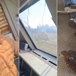 نسر يخترق زجاج قطار في كشمير ويصيب قائده بجروح طفيفة نسر يخترق زجاج قطار في كشمير ويصيب قائده بجروح طفيفة