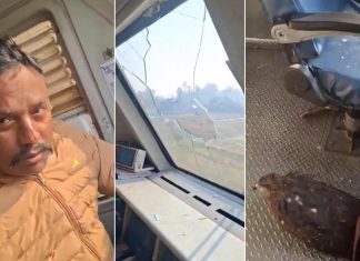 نسر يخترق زجاج قطار في كشمير ويصيب قائده بجروح طفيفة نسر يخترق زجاج قطار في كشمير ويصيب قائده بجروح طفيفة