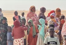 “الهجرة الدولية” تطالب بتحرك عاجل لدعم المتضررين بالسودان "الهجرة الدولية" تطالب بتحرك عاجل لدعم المتضررين بالسودان