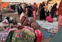 استقبال 57 ألف نازح في الدبة من دارفور وكردفان استقبال 57 ألف نازح في الدبة من دارفور وكردفان