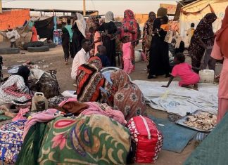 استقبال 57 ألف نازح في الدبة من دارفور وكردفان استقبال 57 ألف نازح في الدبة من دارفور وكردفان