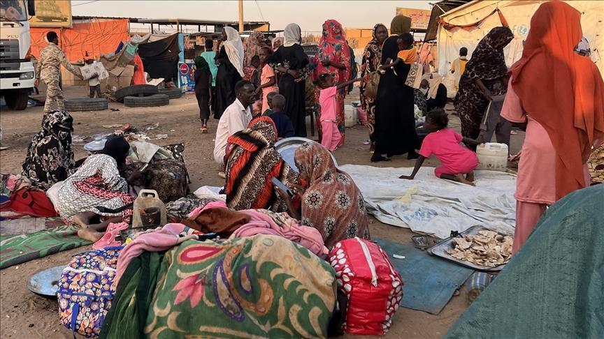 استقبال 57 ألف نازح في الدبة من دارفور وكردفان استقبال 57 ألف نازح في الدبة من دارفور وكردفان