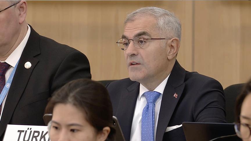 تركيا تدعو إلى وقف فوري للقتال في الفاشر ومحيطها بالسودان تركيا تدعو إلى وقف فوري للقتال في الفاشر ومحيطها بالسودان