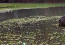 أقدم أنفاق بحرية في العالم تعود لحيوانات عمرها 550 مليون سنة أقدم أنفاق بحرية في العالم تعود لحيوانات عمرها 550 مليون سنة