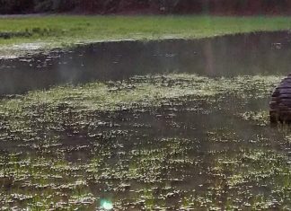 أقدم أنفاق بحرية في العالم تعود لحيوانات عمرها 550 مليون سنة أقدم أنفاق بحرية في العالم تعود لحيوانات عمرها 550 مليون سنة