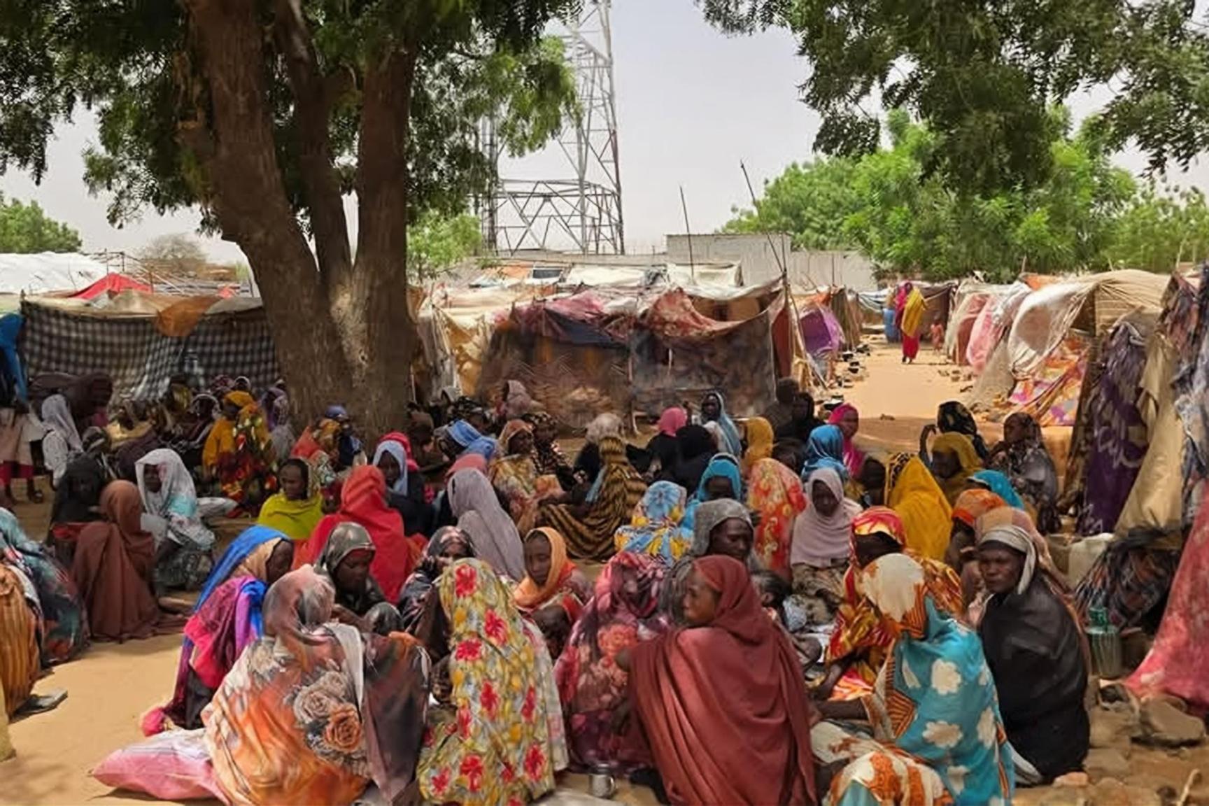 فرص نجاح مبادرة الرباعية للسودان وسط التصعيد الميداني فرص نجاح مبادرة الرباعية للسودان وسط التصعيد الميداني