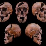 بعد 700 سنة.. العلم يحل لغز جريمة هزّت البلاط الهنغاري بعد 700 سنة.. العلم يحل لغز جريمة هزّت البلاط الهنغاري