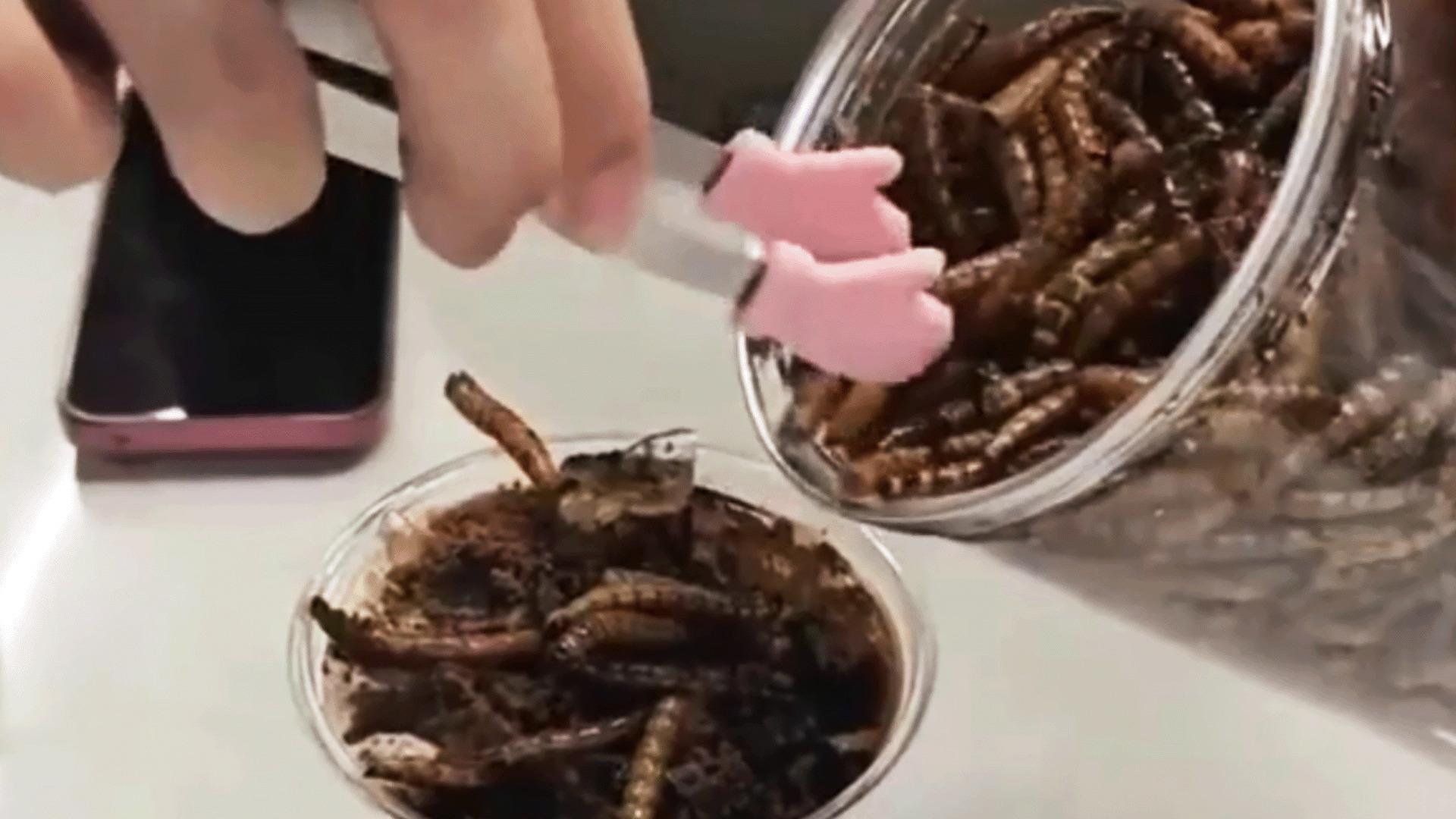 ناشطون يسخرون من الصين بسبب قهوة الصراصير ناشطون يسخرون من الصين بسبب قهوة الصراصير