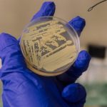 بكتيريا في مختبرات ناسا تتظاهر بالموت! بكتيريا في مختبرات ناسا تتظاهر بالموت!