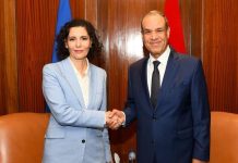 مباحثات مصرية أوروبية بشأن تطورات الأوضاع في غزة ولبنان والسودان مباحثات مصرية أوروبية بشأن تطورات الأوضاع في غزة ولبنان والسودان